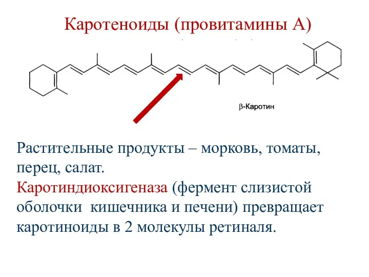 Каротеноиды (провитамины А) Растительные продукты – морковь, томаты, перец, салат. Каротиндиоксигеназа (фермент слизистой