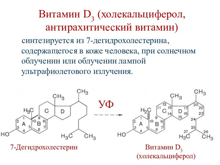 Витамин D3 (холекальциферол, антирахитический витамин) синтезируется из 7-дегидрохолестерина, содержащегося в коже человека, при