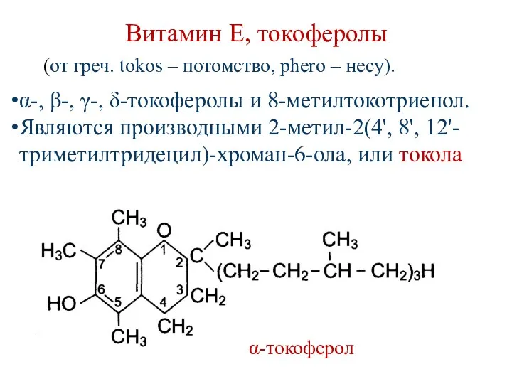 Витамин Е, токоферолы α-токоферол (от греч. tokos – потомство, phero – несу). α-,