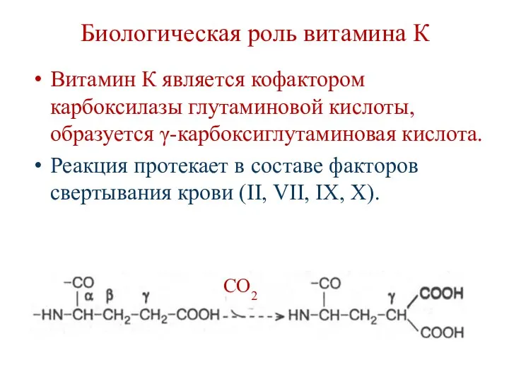 Биологическая роль витамина К Витамин К является кофактором карбоксилазы глутаминовой кислоты, образуется γ-карбоксиглутаминовая
