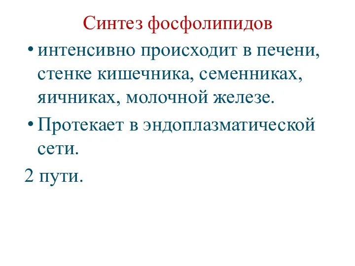 Синтез фосфолипидов интенсивно происходит в печени, стенке кишечника, семенниках, яичниках,