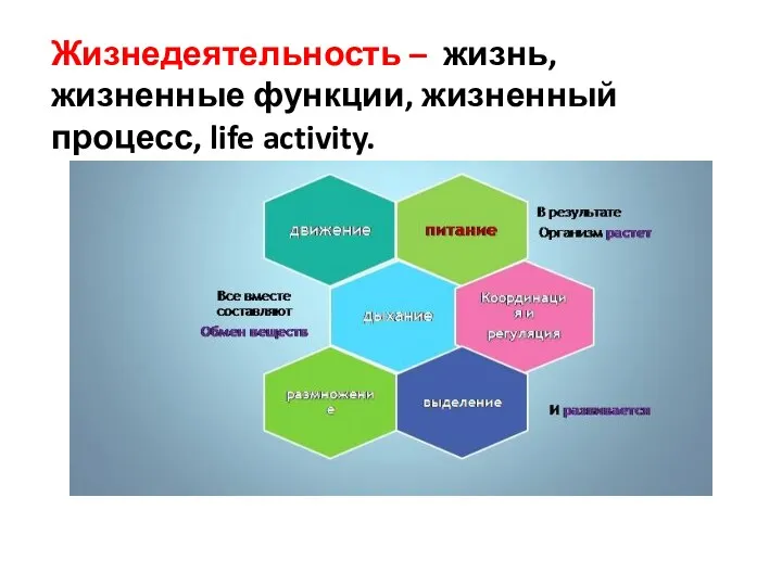 Жизнедеятельность – жизнь, жизненные функции, жизненный процесс, life activity.