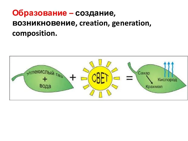 Образование – создание, возникновение, creation, generation, composition.