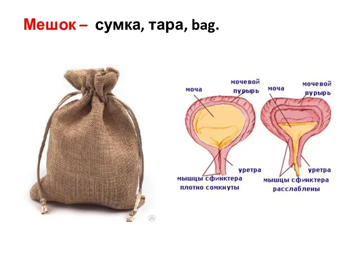 Мешок – сумка, тара, bag.