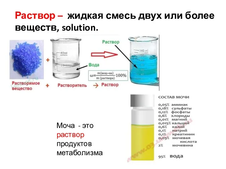 Раствор – жидкая смесь двух или более веществ, solution. Моча - это раствор продуктов метаболизма