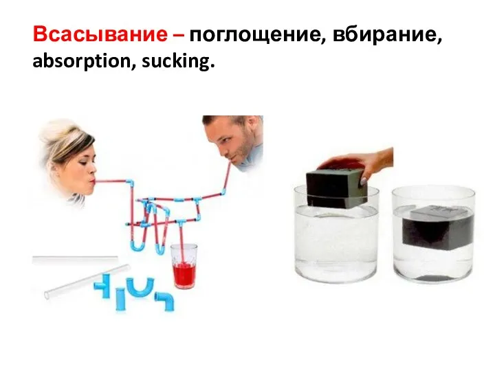 Всасывание – поглощение, вбирание, absorption, sucking.