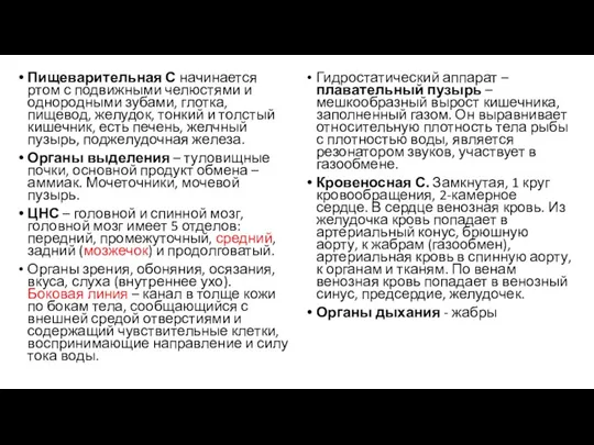 Пищеварительная С начинается ртом с подвижными челюстями и однородными зубами, глотка, пищевод, желудок,