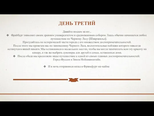 ДЕНЬ ТРЕТИЙ Давайте поедем на юг... Фрайбург знаменит своим древним университетом и средневековым