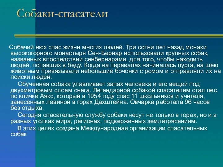 Собаки-спасатели Собачий нюх спас жизни многих людей. Три сотни лет