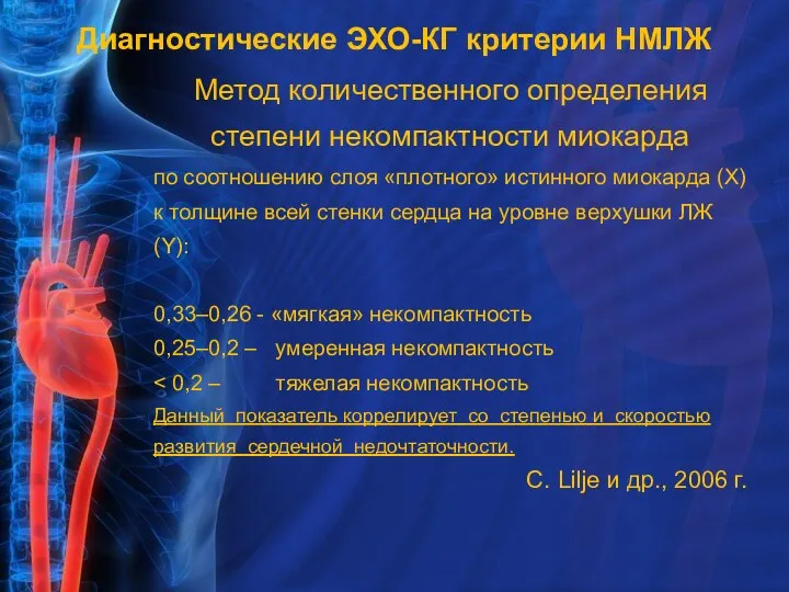 Метод количественного определения степени некомпактности миокарда по соотношению слоя «плотного»