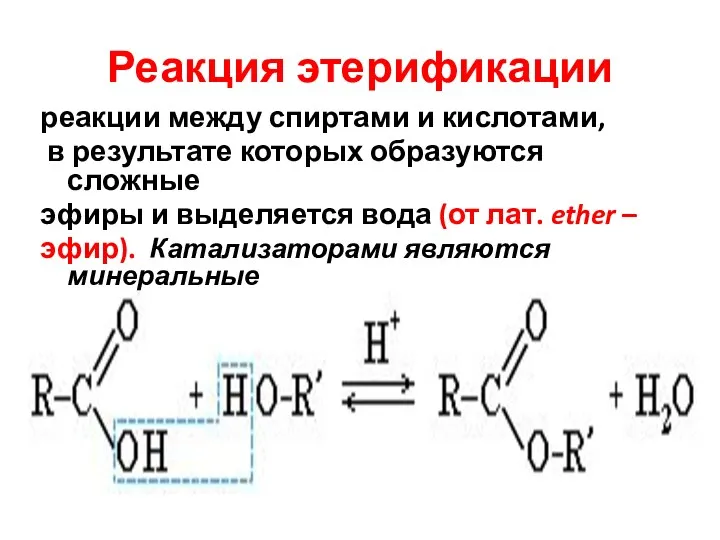 Реакция этерификации реакции между спиртами и кислотами, в результате которых