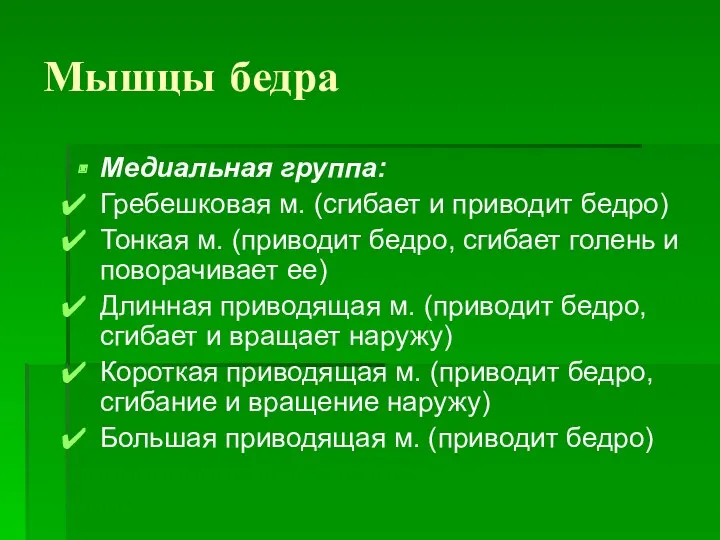 Мышцы бедра Медиальная группа: Гребешковая м. (сгибает и приводит бедро)