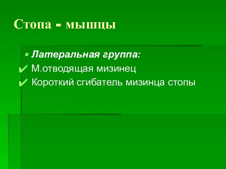 Стопа - мышцы Латеральная группа: М.отводящая мизинец Короткий сгибатель мизинца стопы