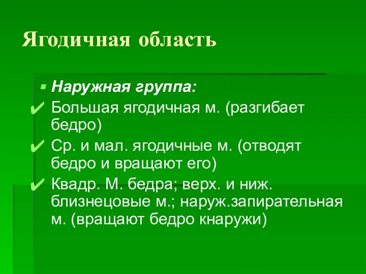 Ягодичная область Наружная группа: Большая ягодичная м. (разгибает бедро) Ср.