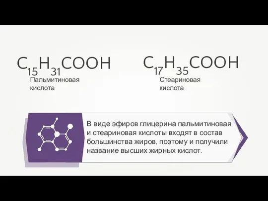 В виде эфиров глицерина пальмитиновая и стеариновая кислоты входят в