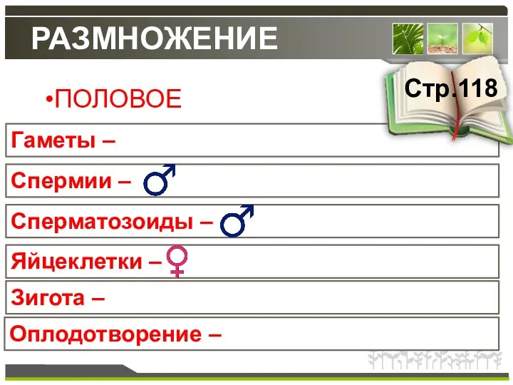 РАЗМНОЖЕНИЕ ПОЛОВОЕ Гаметы – Стр.118 Спермии – Сперматозоиды – Яйцеклетки – Зигота – Оплодотворение –