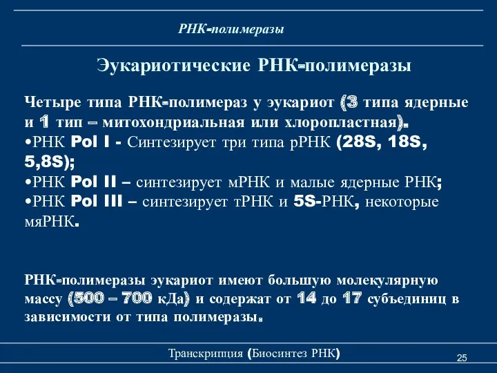 Транскрипция (Биосинтез РНК) Эукариотические РНК-полимеразы РНК-полимеразы Четыре типа РНК-полимераз у