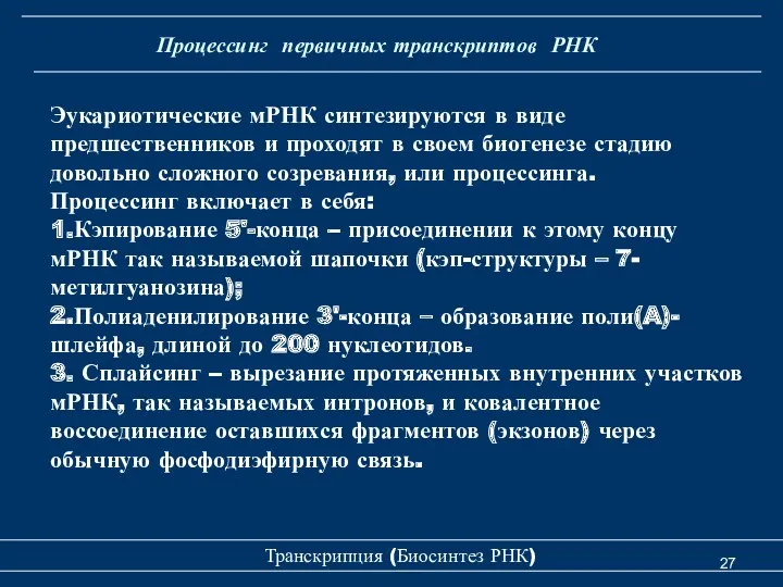 Транскрипция (Биосинтез РНК) Эукариотические мРНК синтезируются в виде предшественников и