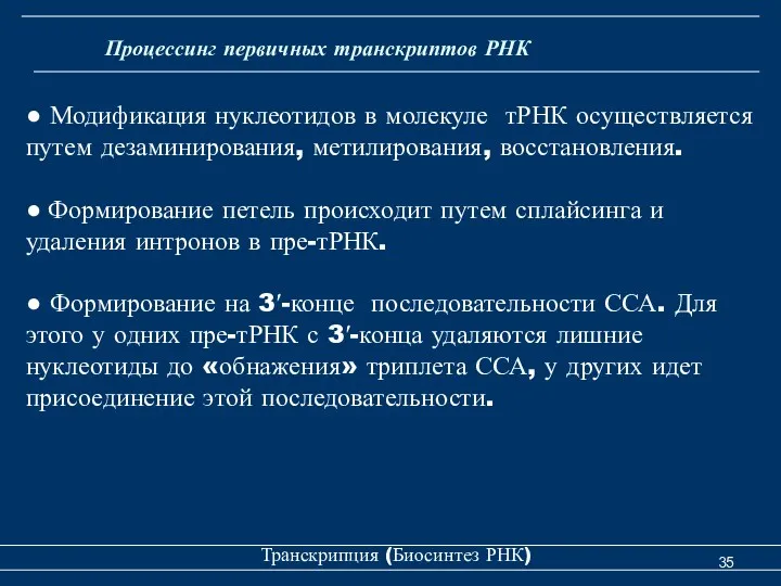 Транскрипция (Биосинтез РНК) Процессинг первичных транскриптов РНК ● Модификация нуклеотидов