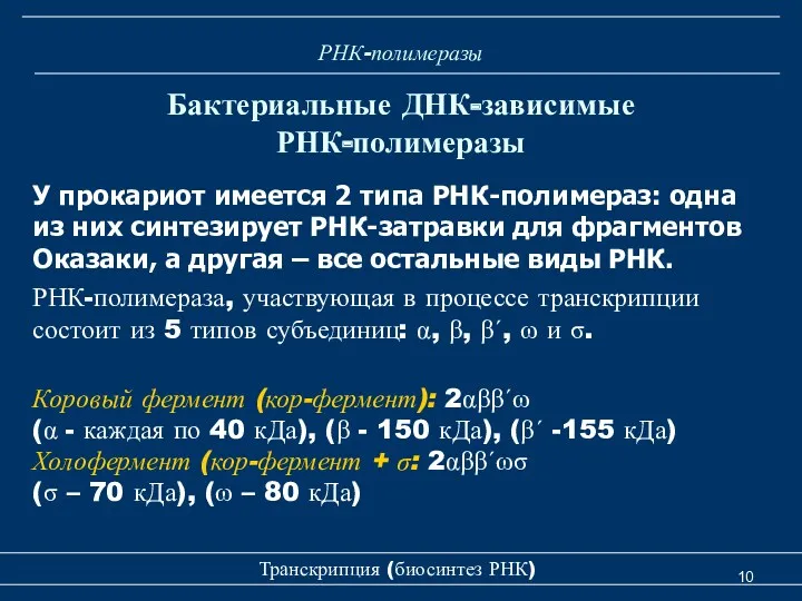 РНК-полимеразы У прокариот имеется 2 типа РНК-полимераз: одна из них