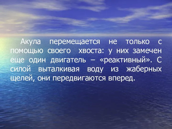 Акула перемещается не только с помощью своего хвоста: у них