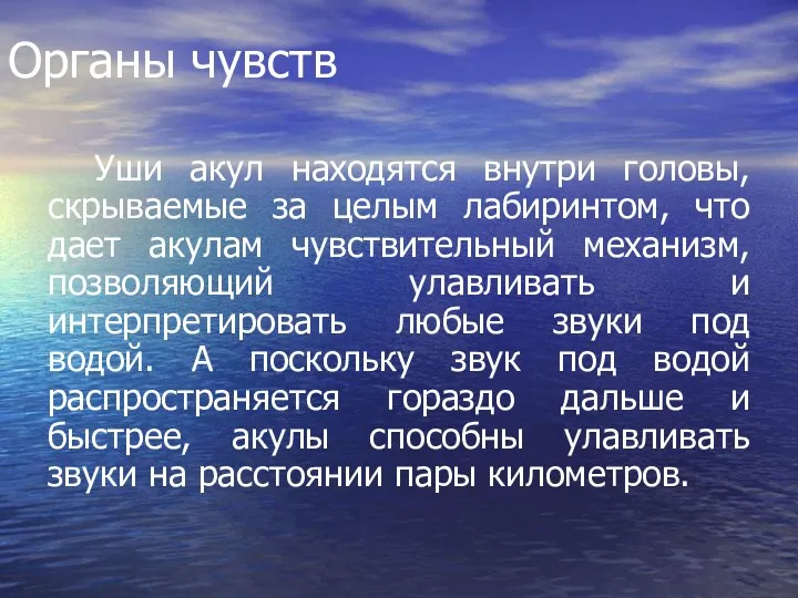 Органы чувств Уши акул находятся внутри головы, скрываемые за целым