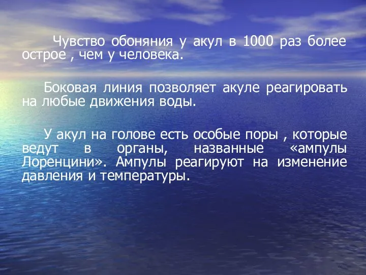 Чувство обоняния у акул в 1000 раз более острое ,