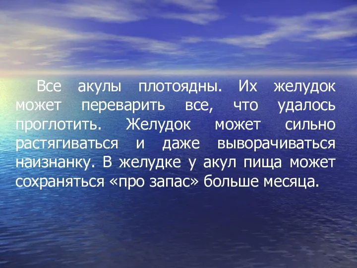 Все акулы плотоядны. Их желудок может переварить все, что удалось