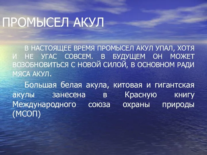 ПРОМЫСЕЛ АКУЛ В НАСТОЯЩЕЕ ВРЕМЯ ПРОМЫСЕЛ АКУЛ УПАЛ, ХОТЯ И