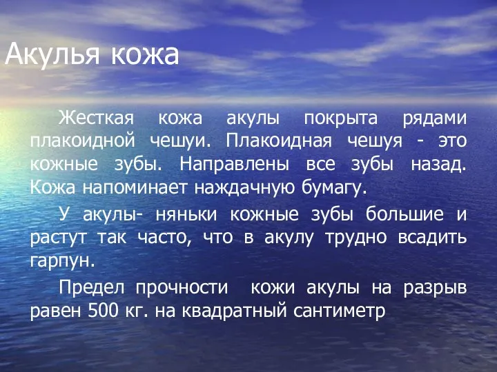 Акулья кожа Жесткая кожа акулы покрыта рядами плакоидной чешуи. Плакоидная