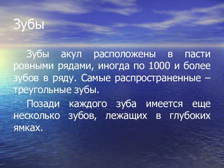 Зубы Зубы акул расположены в пасти ровными рядами, иногда по