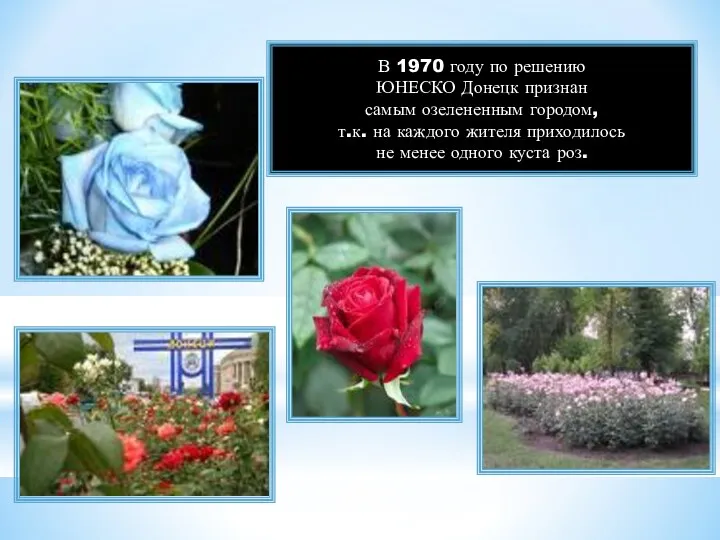 В 1970 году по решению ЮНЕСКО Донецк признан самым озелененным городом, т.к. на
