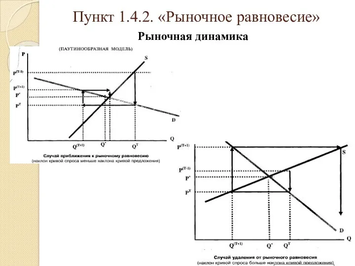 Пункт 1.4.2. «Рыночное равновесие» Рыночная динамика