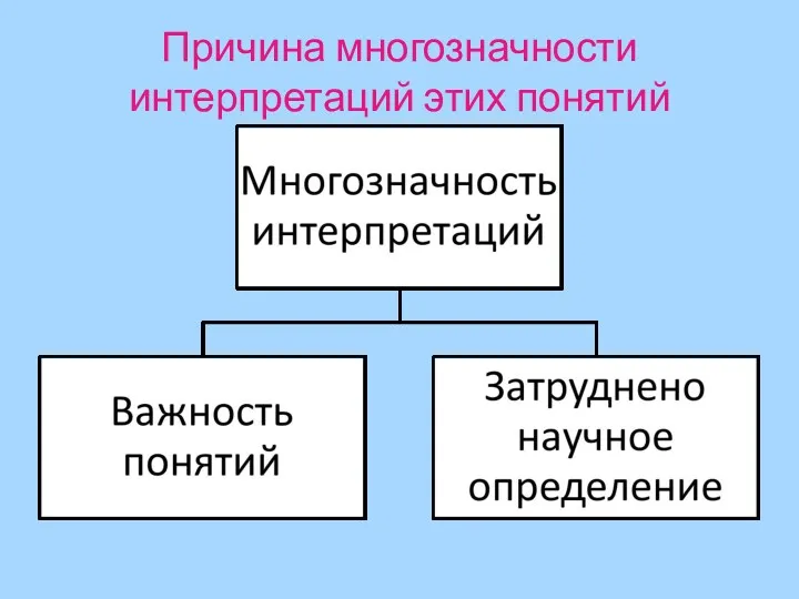 Причина многозначности интерпретаций этих понятий