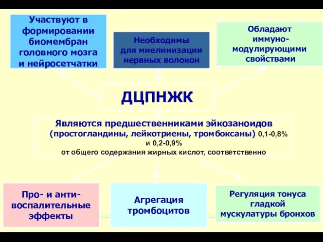 Обладают иммуно- модулирующими свойствами Про- и анти- воспалительные эффекты Являются