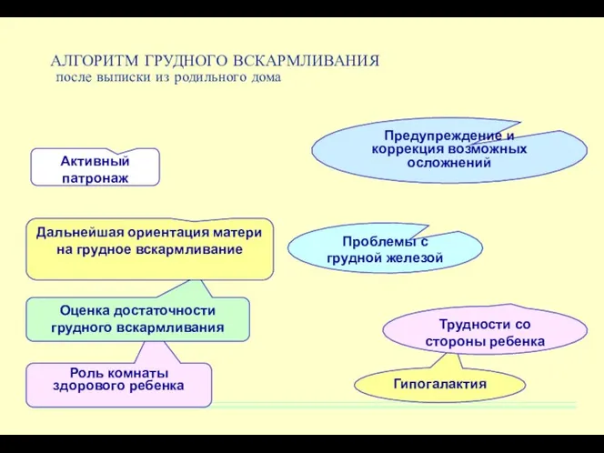 АЛГОРИТМ ГРУДНОГО ВСКАРМЛИВАНИЯ после выписки из родильного дома Роль комнаты