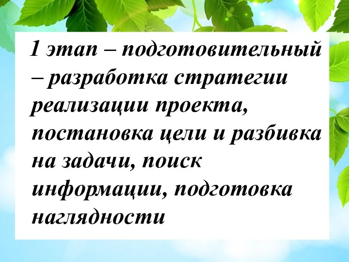 1 этап – подготовительный – разработка стратегии реализации проекта, постановка