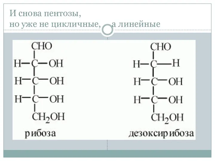 И снова пентозы, но уже не цикличные, а линейные