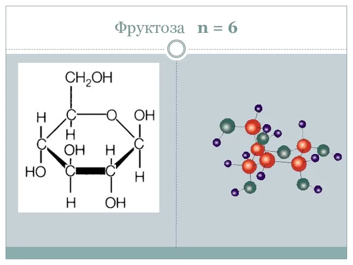 Фруктоза n = 6