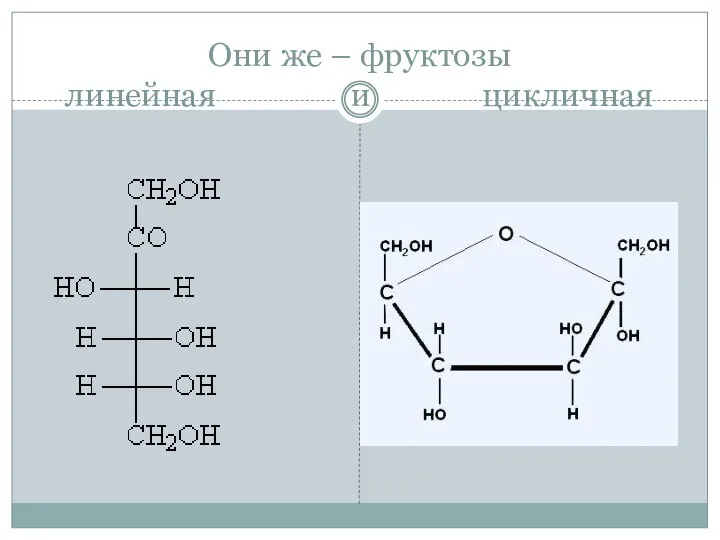 Они же – фруктозы линейная и цикличная