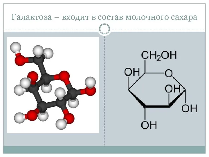 Галактоза – входит в состав молочного сахара