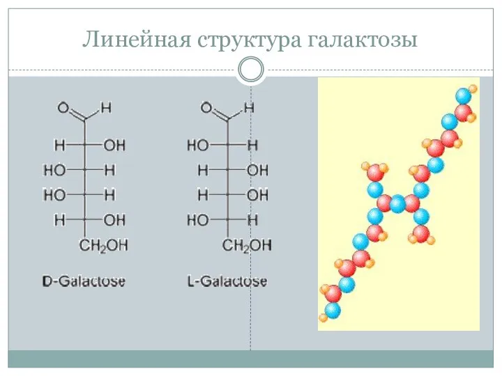 Линейная структура галактозы