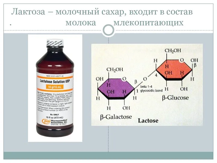 Лактоза – молочный сахар, входит в состав . молока млекопитающих