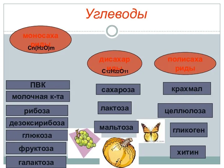 Углеводы моносахариды дисахариды полисахариды рибоза глюкоза дезоксирибоза хитин фруктоза сахароза лактоза крахмал целлюлоза