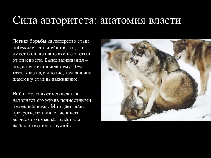 Сила авторитета: анатомия власти Логика борьбы за лидерство стаи: побеждает