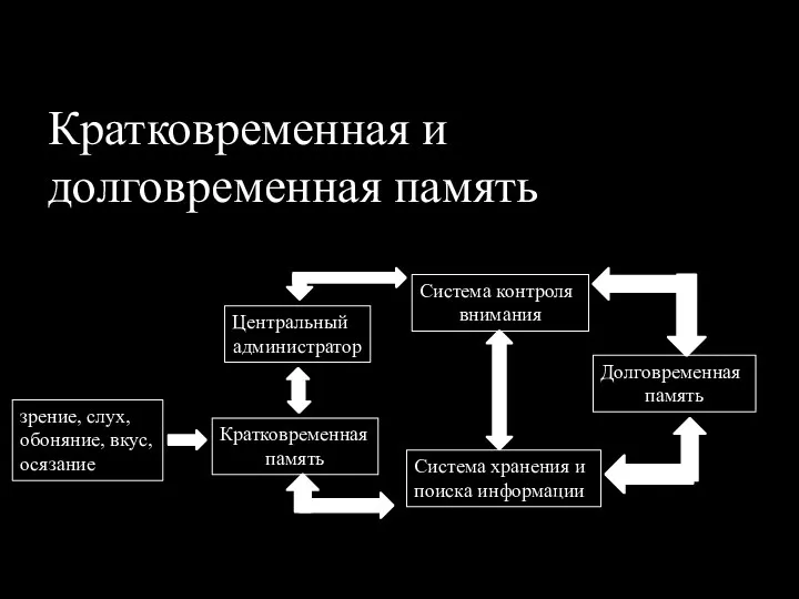 Кратковременная и долговременная память Долговременная память Система контроля внимания Система