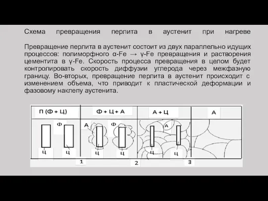 Схема превращения перлита в аустенит при нагреве Превращение перлита в