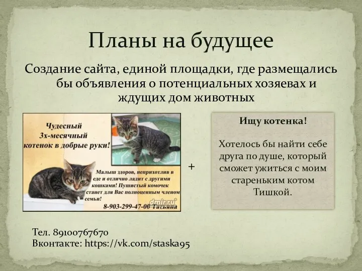 Создание сайта, единой площадки, где размещались бы объявления о потенциальных