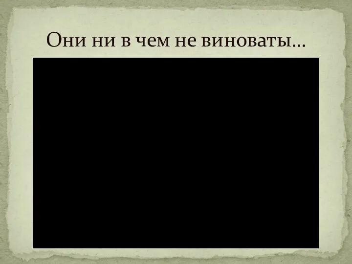 Они ни в чем не виноваты…