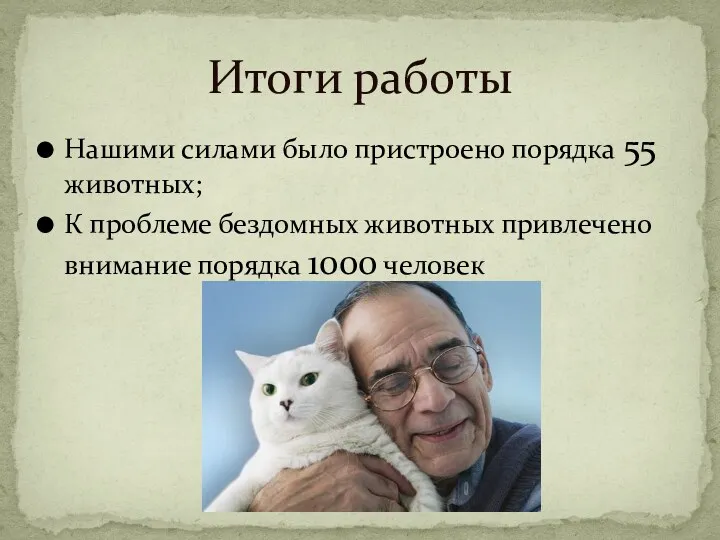 Нашими силами было пристроено порядка 55 животных; К проблеме бездомных